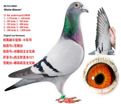 С�Һ�