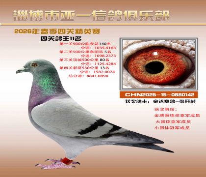 亚一精英赛11名