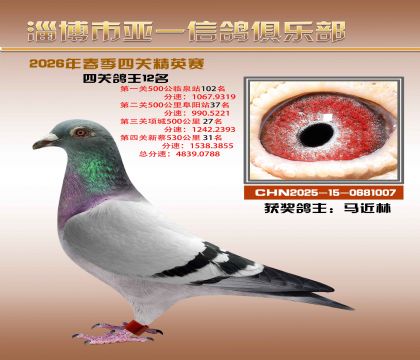 亚一精英赛12名