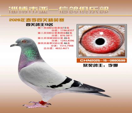 亚一精英赛13名