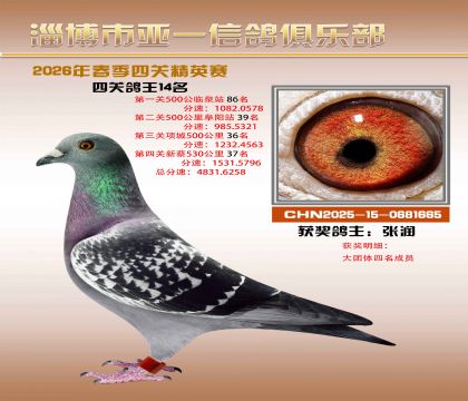 亚一精英赛14名