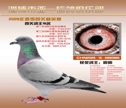 亚一精英赛15名
