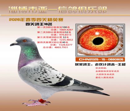 亚一精英赛16名