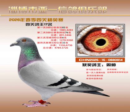亚一精英赛17名