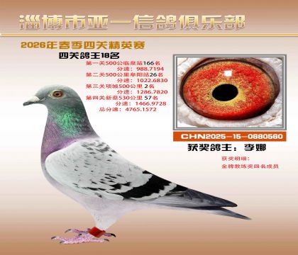 亚一精英赛18名