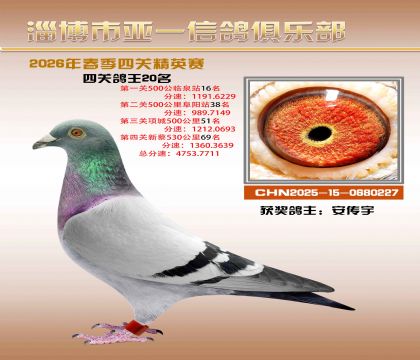 亚一精英赛20名