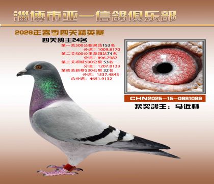 亚一精英赛24名