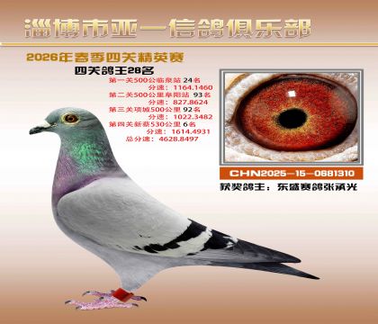 亚一精英赛28名