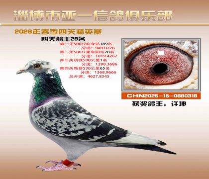 亚一精英赛29名