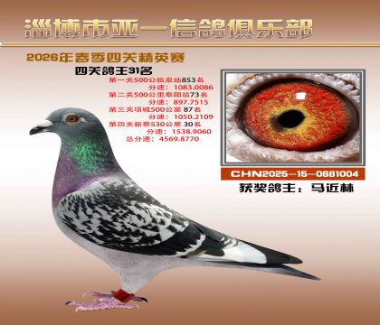 亚一精英赛31名