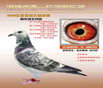 亚一精英赛33名
