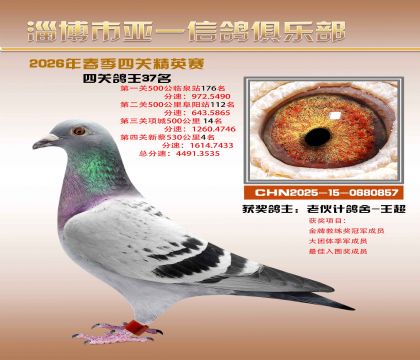 亚一精英赛37名