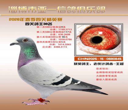 亚一精英赛38名