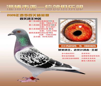 亚一精英赛39名