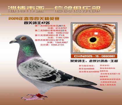 亚一精英赛47名