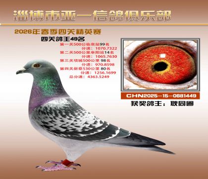 亚一精英赛49名