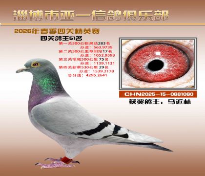 亚一精英赛51名