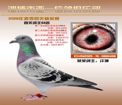 亚一精英赛53名