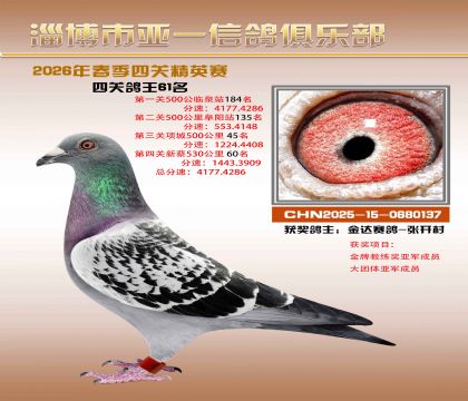 亚一精英赛61名