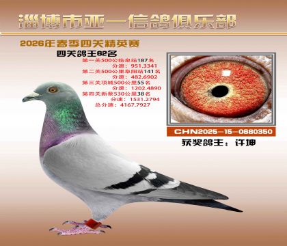 亚一精英赛62名