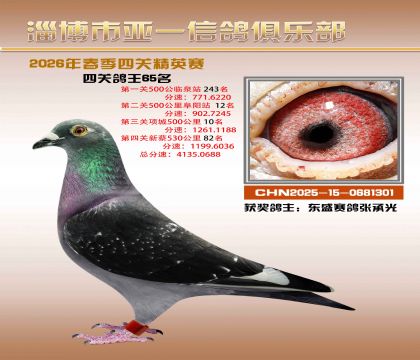 亚一精英赛65名