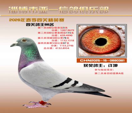 亚一精英赛66名