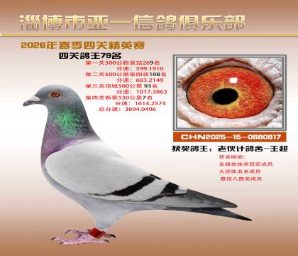 亚一精英赛79名