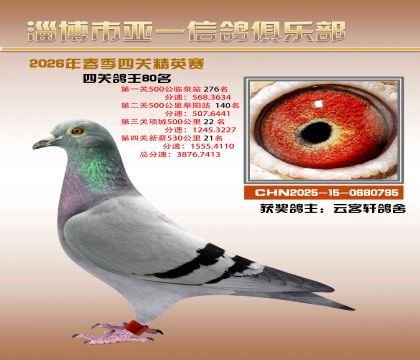亚一精英赛80名