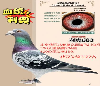 �ػʵ��ƺ��ɴ�����13������683