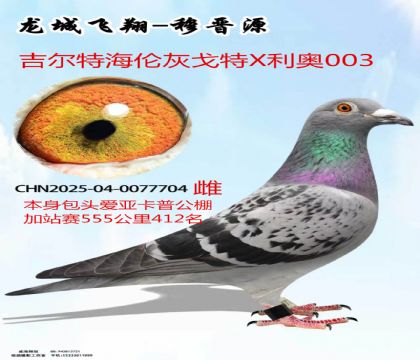 ��ͷ���ǿ��ռ�վ��412�������غ��׻Ҹ���X����