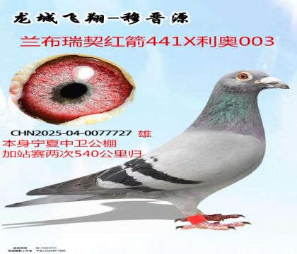 ��������������μ�վ������������X����