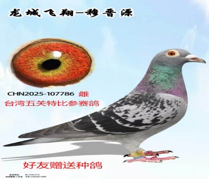 ̨����ظ�
