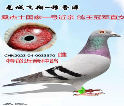 ɣ��ʿ����һ�Ž��׸����ھ�ֱŮ