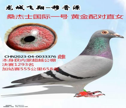 ���ɳ�Խ550�����վ����ɣ��ʿ����һ��