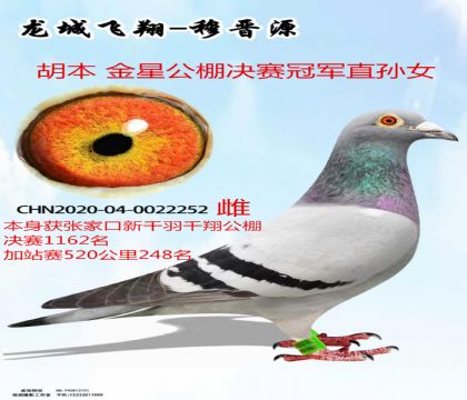 �żҿ�ǧ��ǧ���վ��248���������ǹھ�ֱϵ