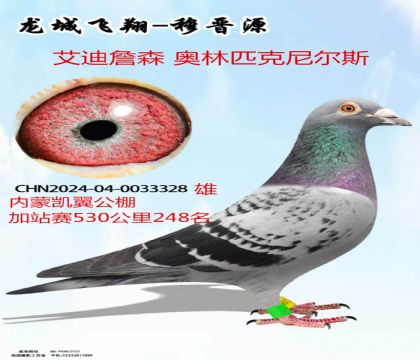 ���ɿ�����վ��248������ƥ�����˹