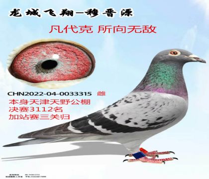 �����Ұ��վ�����ع鷲���������޵�
