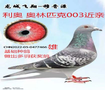 ���°���ƥ��003����