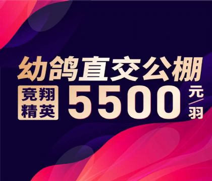 ������ҵ-�׸�ֱ�͹���-5500Ԫ