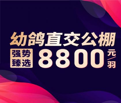 ������ҵ-�׸�ֱ�͹���-8800Ԫ