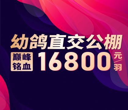 ������ҵ-�׸�ֱ�͹���-16800Ԫ