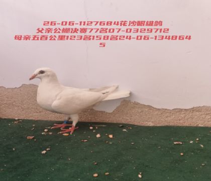 �������77������ٹ���123������