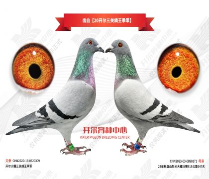 ����20�������ظ�������