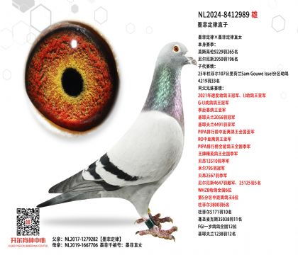 3����-8412989