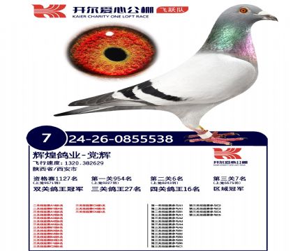 3����-0855538