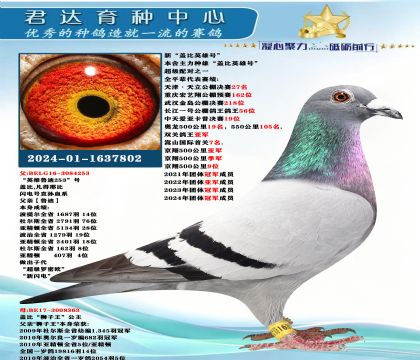 �𻷣��¡��Ǳ�Ӣ�ۺš�