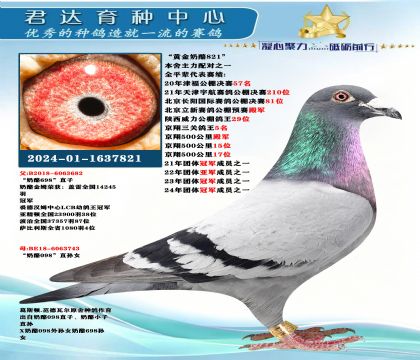 �𻷣����ƽ�����821��
