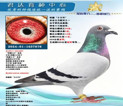 �𻷣����ҡ�ʮ��š�