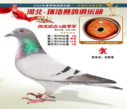A�鼾��