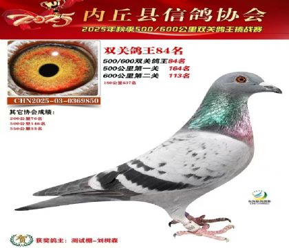 25���＾˫�ظ���84��